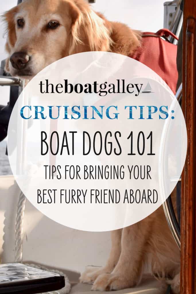 What you need to know to have a great boat dog. Learn how to take any size dog on your boat, how to keep them safe, and best places to cruise with a dog.