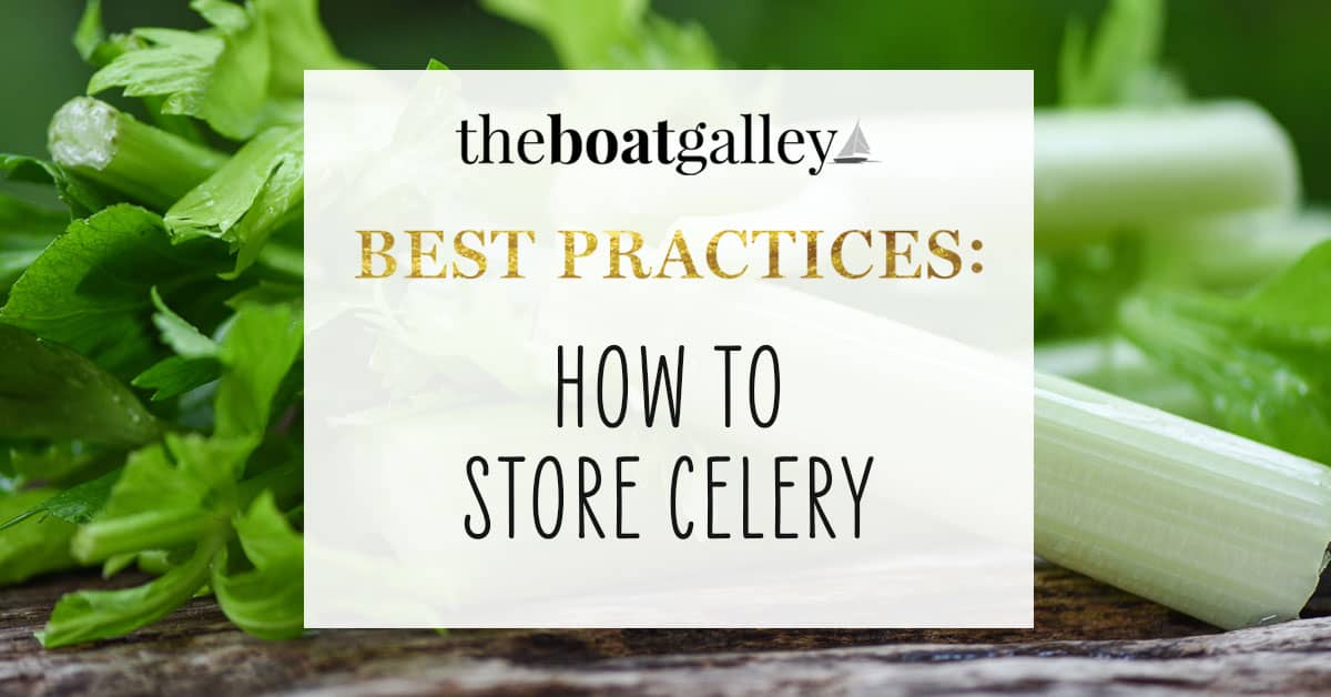 How to store celery the boat galley