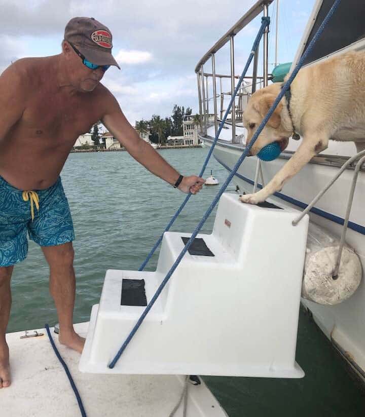 Boat stairs for store dogs