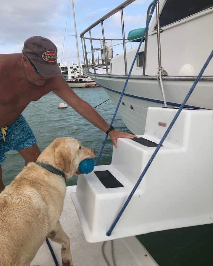 Dog steps outlet for boat