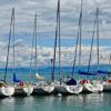 Marina with a row of boats - how to shop for a boat