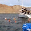 People swimming beside an anchored sailboat with mountains in the background - enjoy happy hour off your boat