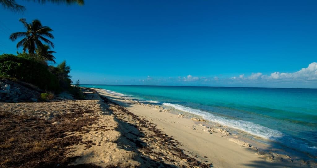 Turquoise water and palm-lined beach on a sunny day in the Bahamas