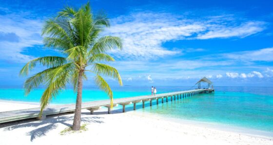 Couple on a dock in the Bahamas with turquoise water, palm tree, and blue sky