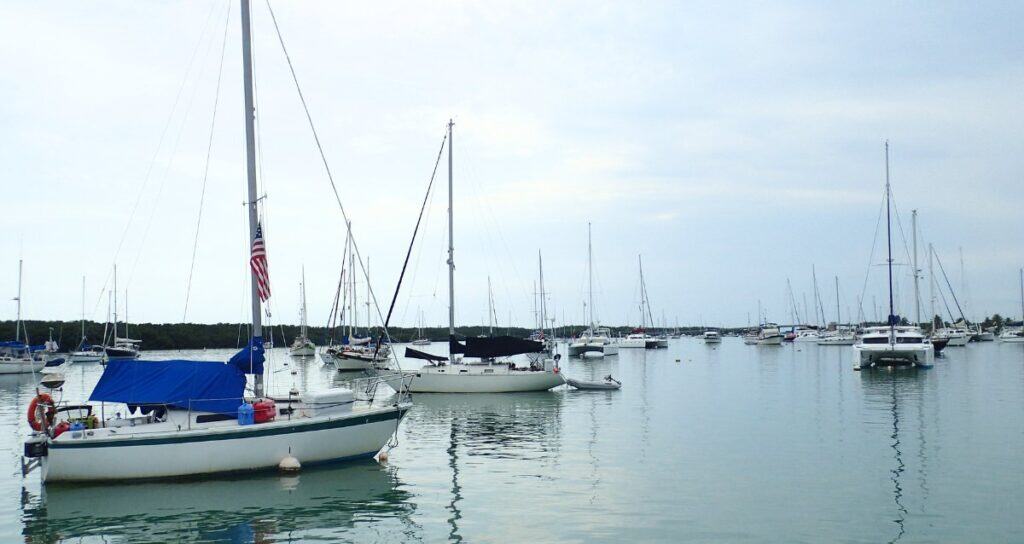 Beautiful marina scene with sailboats and yachts on calm water.