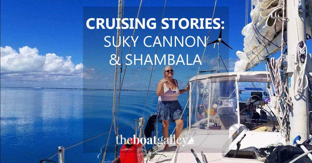 Suky's "Cruising Story" is a short one, but heartfelt. Was she nuts to buy a 41' boat to cruise (and offer learning charters on) singlehandedly?