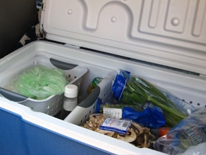 Bins on top of wire shelving keep food out of the melting ice water.