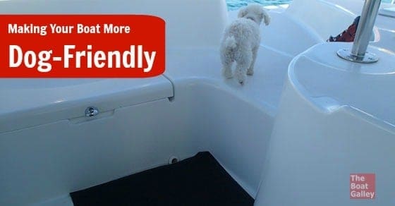 Got a boat dog? A few simple things will help them be more sure footed on the boat. Help them feel comfortable and avoid injuries.
