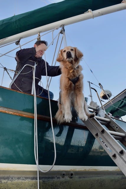 Wondering how to go cruising with a big dog? What can you do to make it easier? Answers here from Pamela Douglas Webster, who cruises with Honey, a golden retriever.