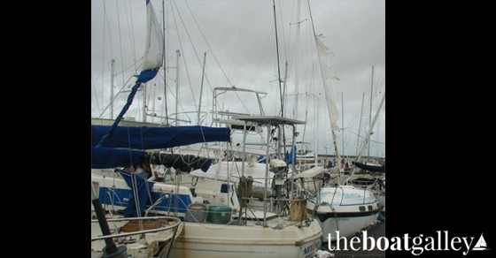 Boats that did not remove sails damaged by Hurricane Marty