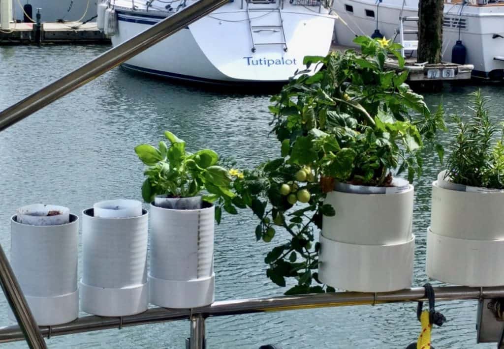 Boat garden when first planted