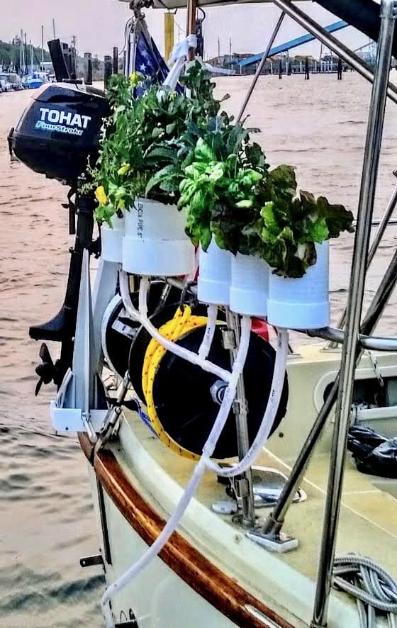 Boat garden on the stern rail of our sailboat