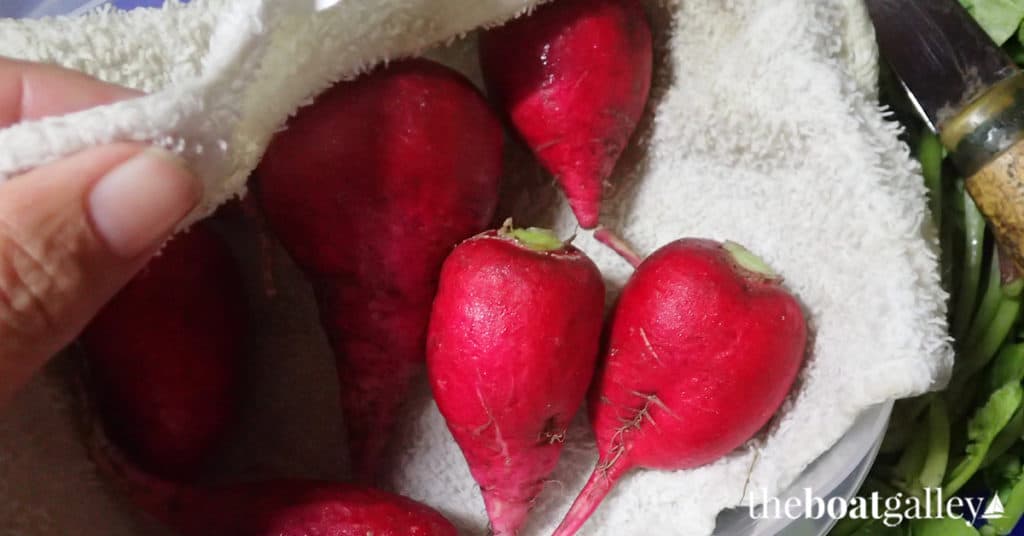 Fresh radishes kept without refrigeration using a damp cloth, crisp and ready to eat weeks after provisioning