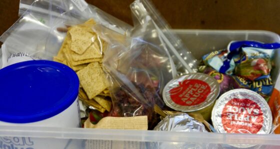 plastic box filled with single-serving snacks