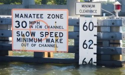 Tide board on the ICW
