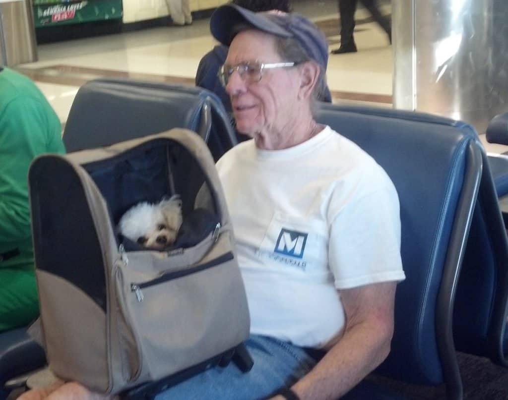 Boat dog in airline-approved carrier bag at the airport